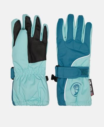 Ski gloves