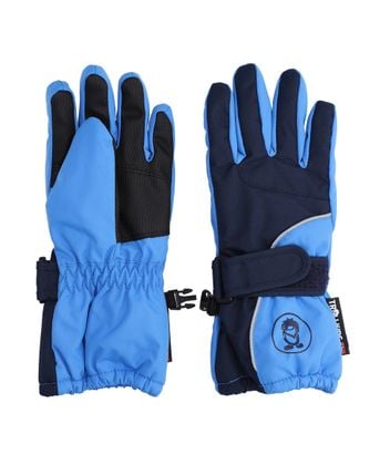 Ski gloves