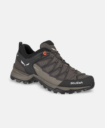 Trekking shoes Ws Mtn Trainer Lite Gtx