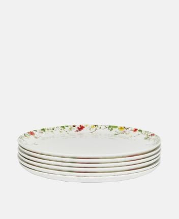 Dinner plates, set of 6