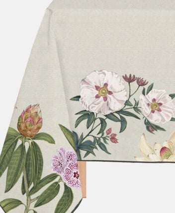 Tablecloth