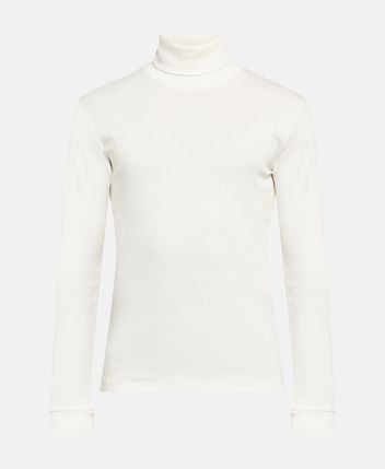 Rollneck top