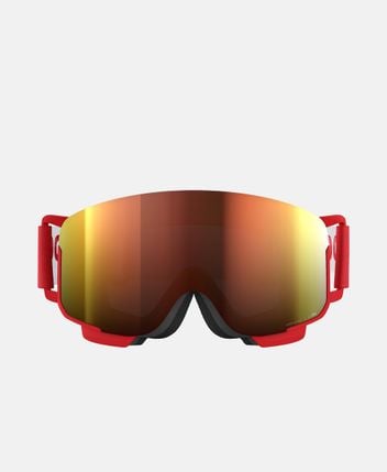 Ski goggles Nexal