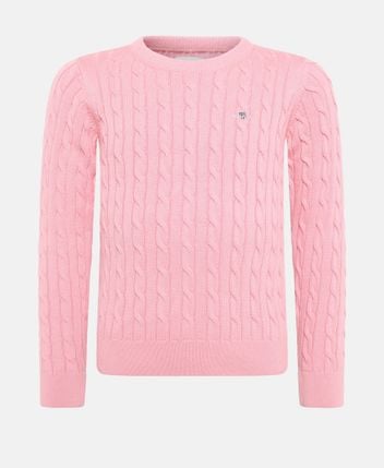 Long-sleeved jumper Shield