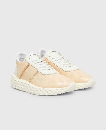 Sneakers Urchin