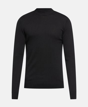 Rollneck pullover Turtle1