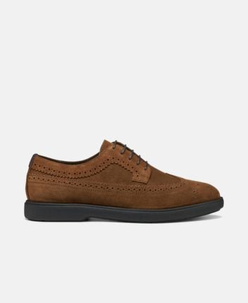 Derbys Spherica EC17