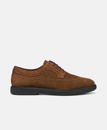 Derbys Spherica EC17