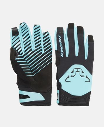 Ski gloves