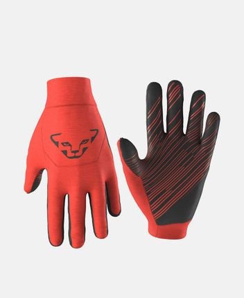Ski gloves