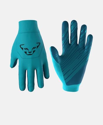 Ski gloves