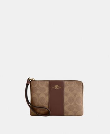 Purse/Clutch