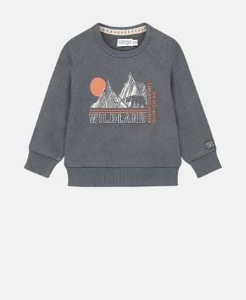 Sweatshirt wildland