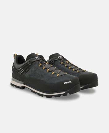 Hiking shoes