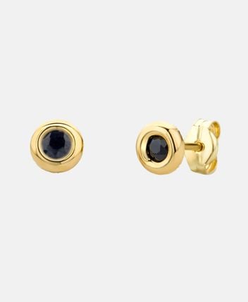 Earrings 14K