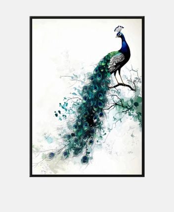 Framed picture Feathers of eternity