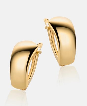 Earrings 14K