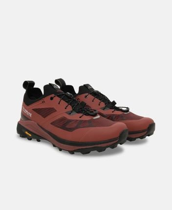 Trekking shoes