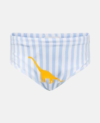 Swimming shorts
