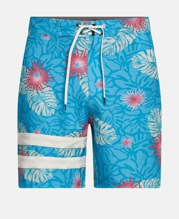 Boardshorts