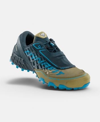 Hiking shoes