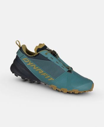 Trekking shoes Traverse GTX