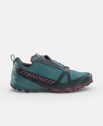 Hiking shoes Traverse GTX W