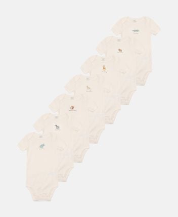 Bodies, pack of 7