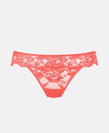 Briefs