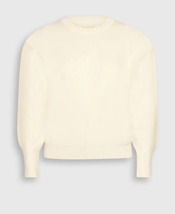 Long-sleeved jumper