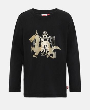 Long-sleeved top