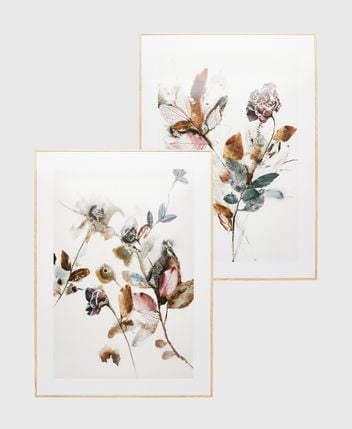 Framed pictures, set of 2