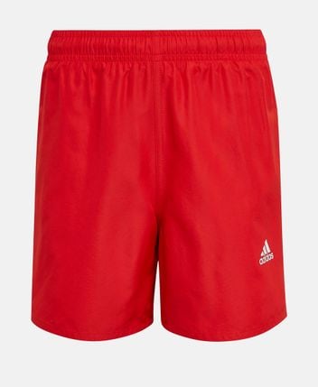 Swimming shorts