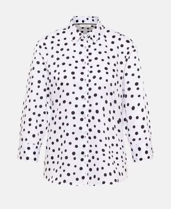 Shirt blouse