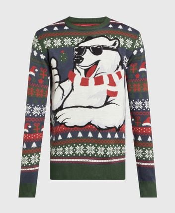 Long-sleeved jumper