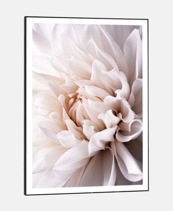 Framed picture