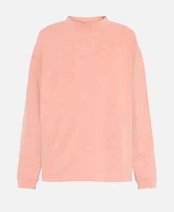 Long-sleeved top Enick Vinta