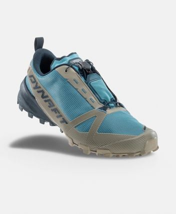 Hiking shoes