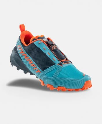 Hiking shoes