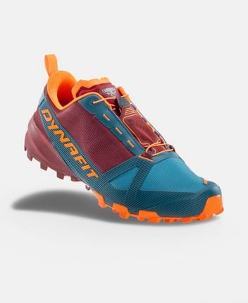 Hiking shoes