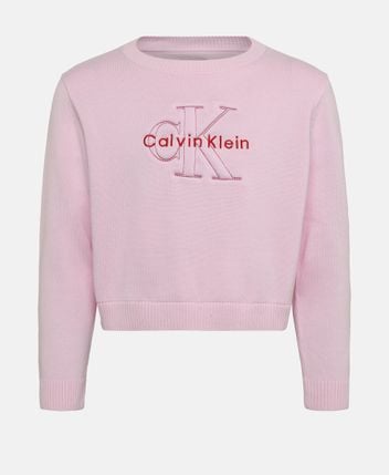 Long-sleeved jumper