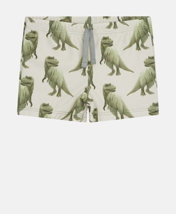 Swimming shorts Haki