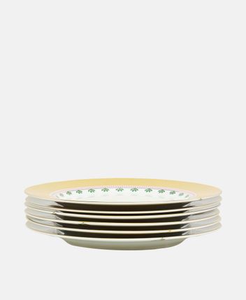 Dinner plates, set of 6