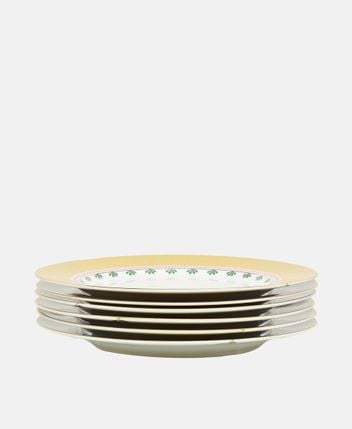 Dinner plates, set of 6
