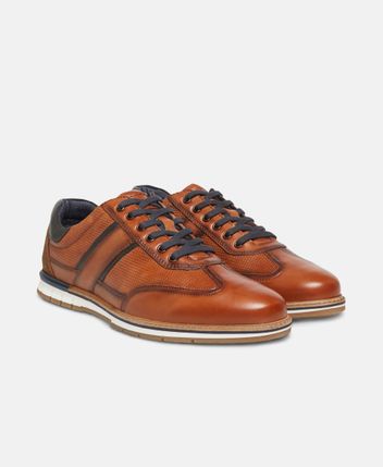 Sneakers New Milton