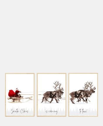 Framed pictures, set of 3