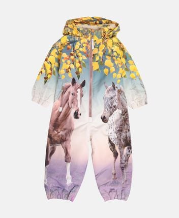 Ski overall