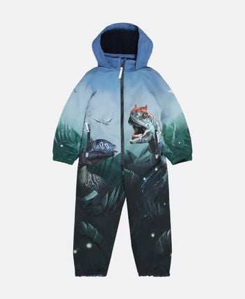 Ski overall