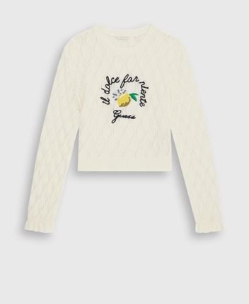 Long-sleeved jumper