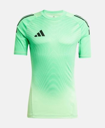 Functional shirt